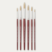 Six Pro Arte Round Dry brushes, laid out on a white background.
