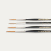 Close-up of the brush tips of the Pro Arte Prolene Rigger brush range on a white background. 