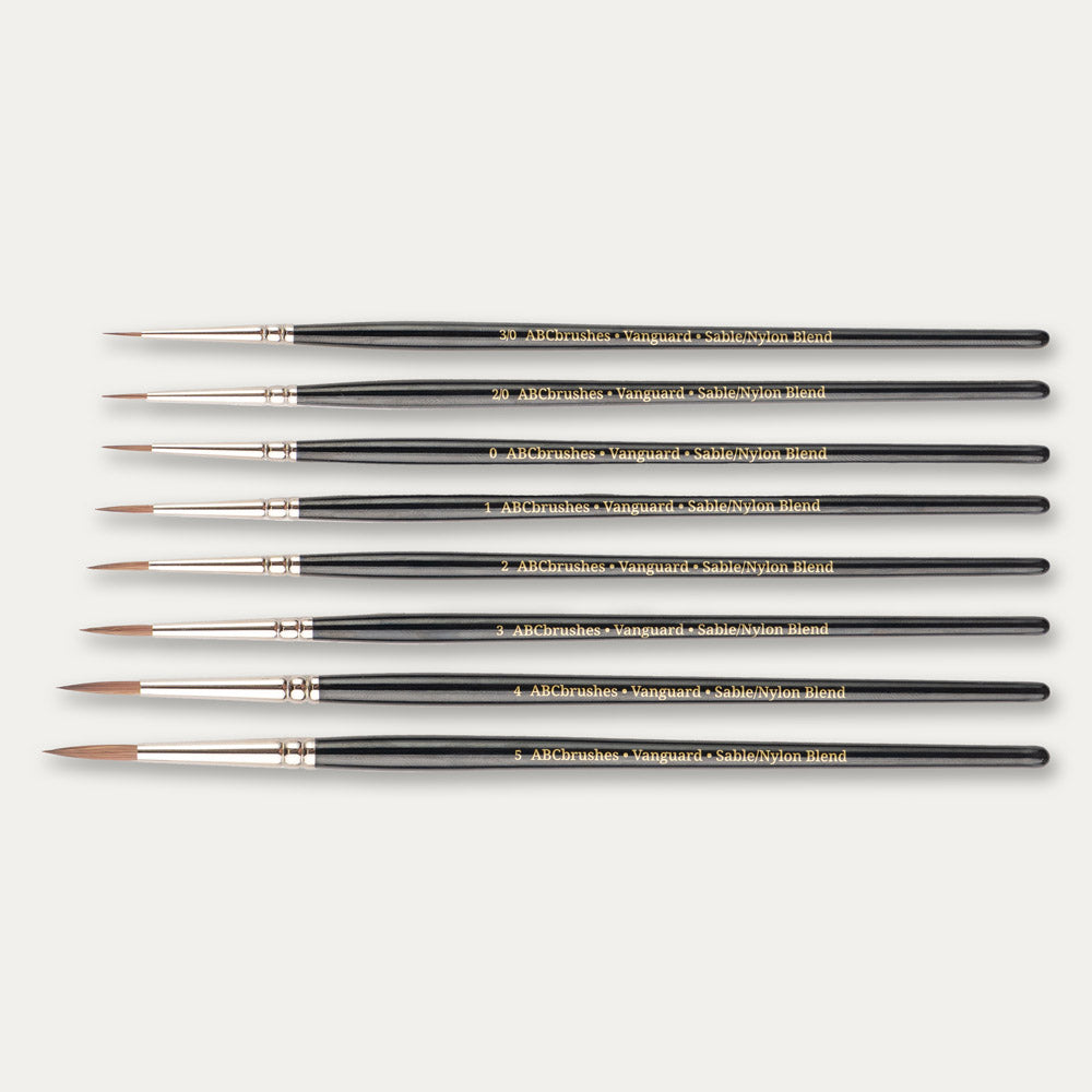 ABC Brushes Vanguard range on a white background.