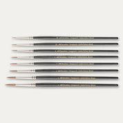 ABC Brushes Vanguard range on a white background.