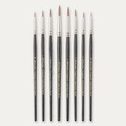ABC Brushes Vanguard range on a white background.