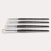 Pro Arte Rounded Dry Brush